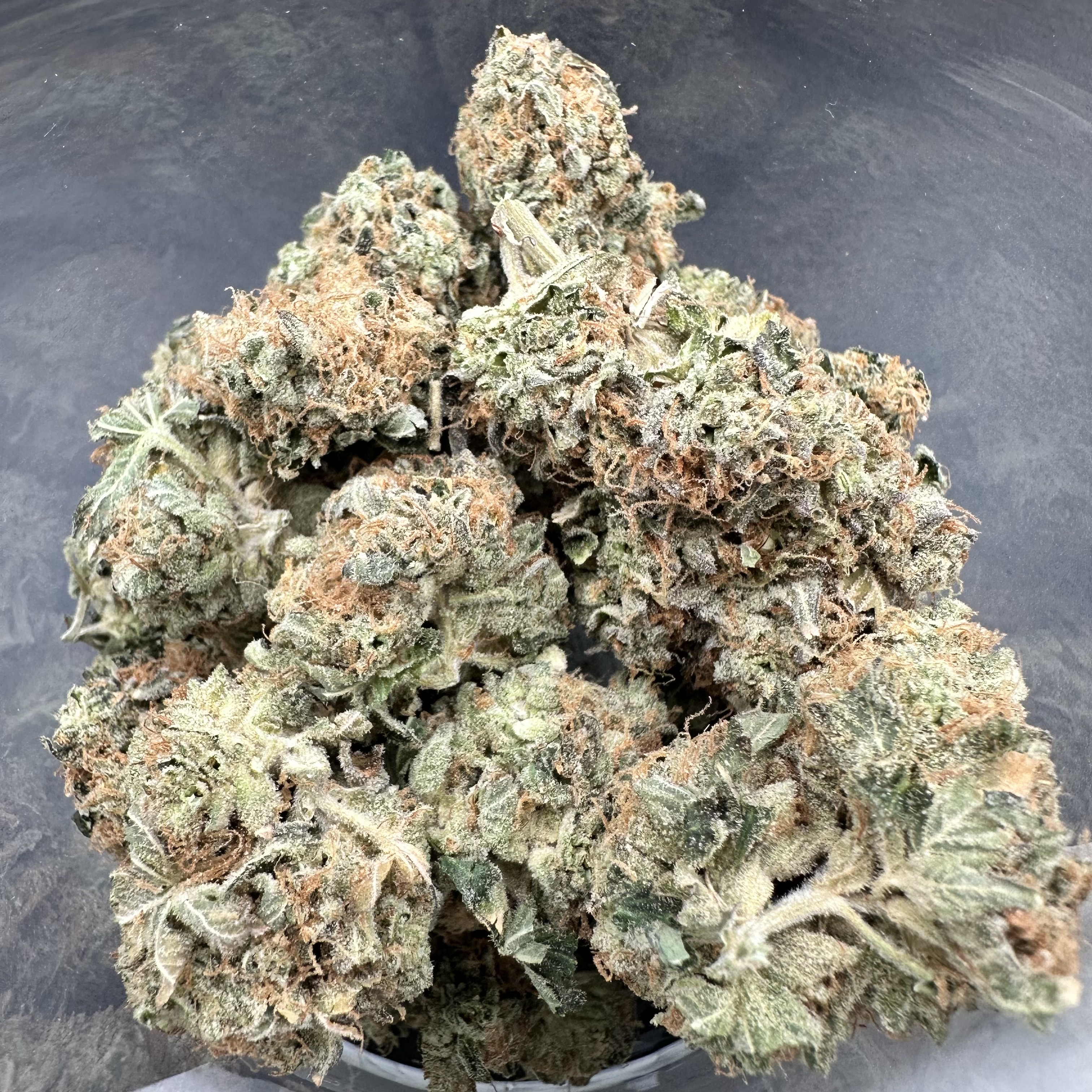 Photograph of product: GMP Flower - Medellin - 3.5g