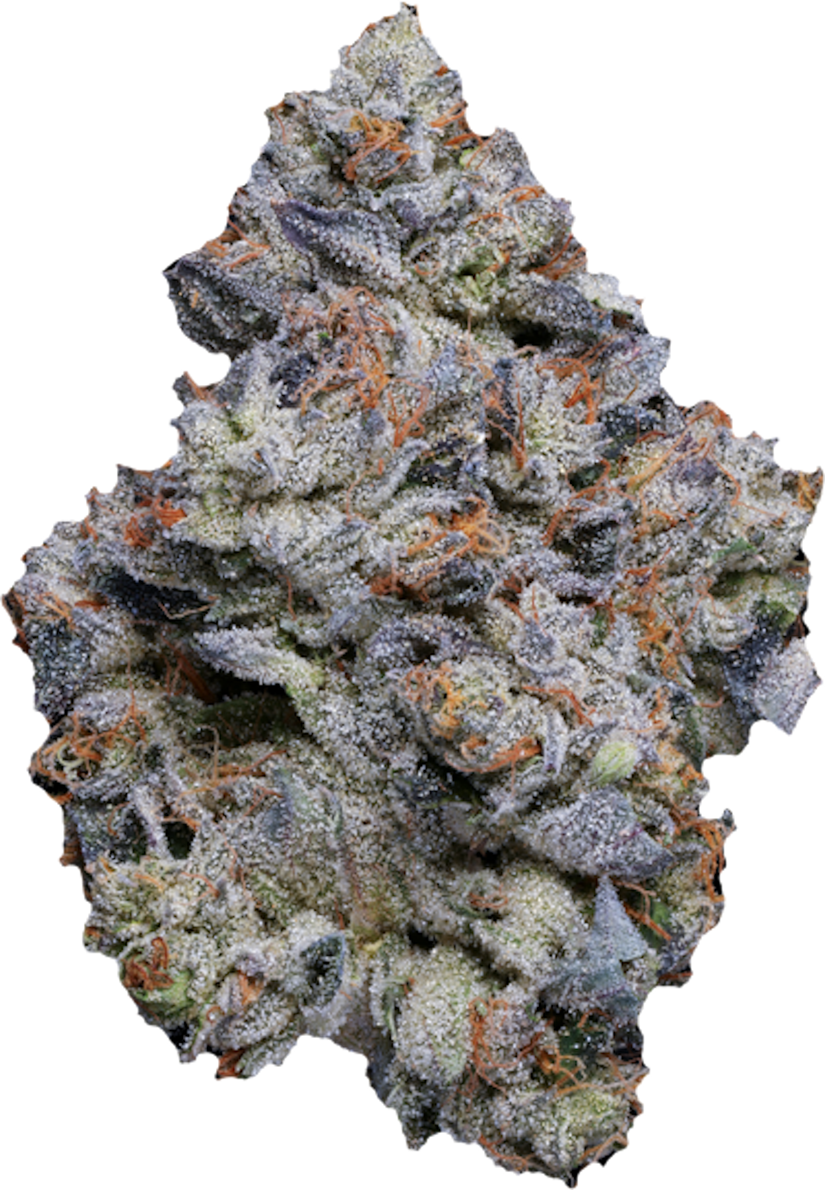 Photograph of product: Blue Face | Fig Farms | 3.5g | Buds