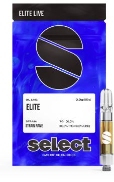 Photograph of product: Delphi Diesel | Live Resin Cartridge | 1g