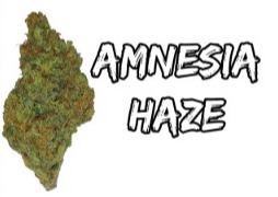 Photograph of product: 5 Boro | Preroll | Amnesia Haze
