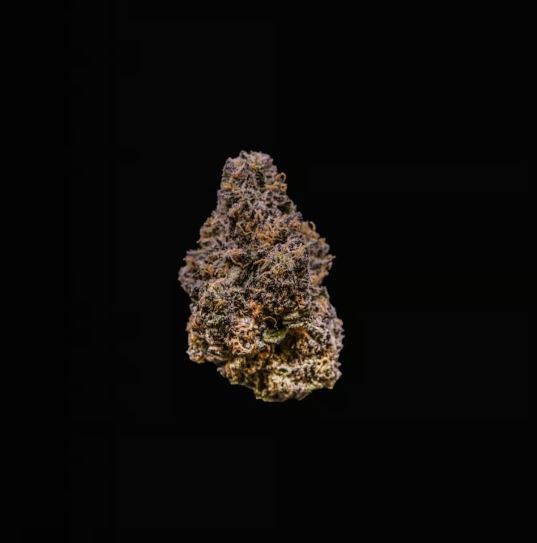 Photograph of product: Curaleaf Whole Flower 14g Paw Paw (I) 00936 TC 24.197% (14g)