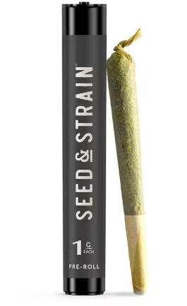 Photograph of product: Sun Cake - Preroll