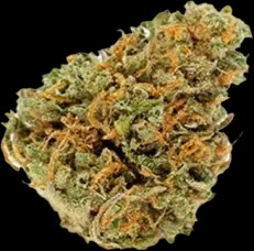 Photograph of product: Zsweet Inznaity - 3.5g Flower