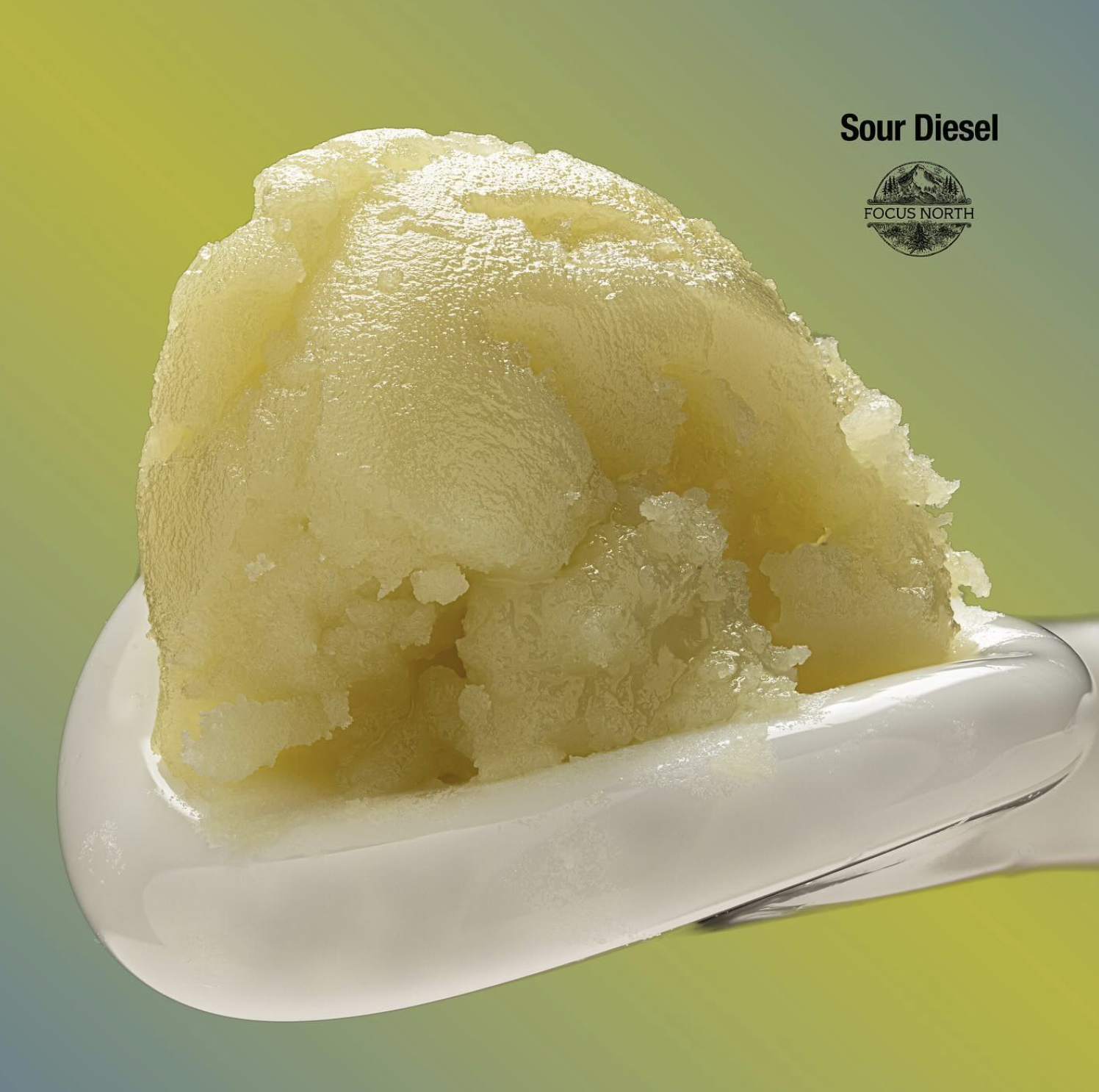Photograph of product: Focus North | Sour Diesel Live Rosin
