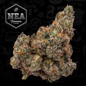 Photograph of product: NEA | Trufflegasm | 3.5g