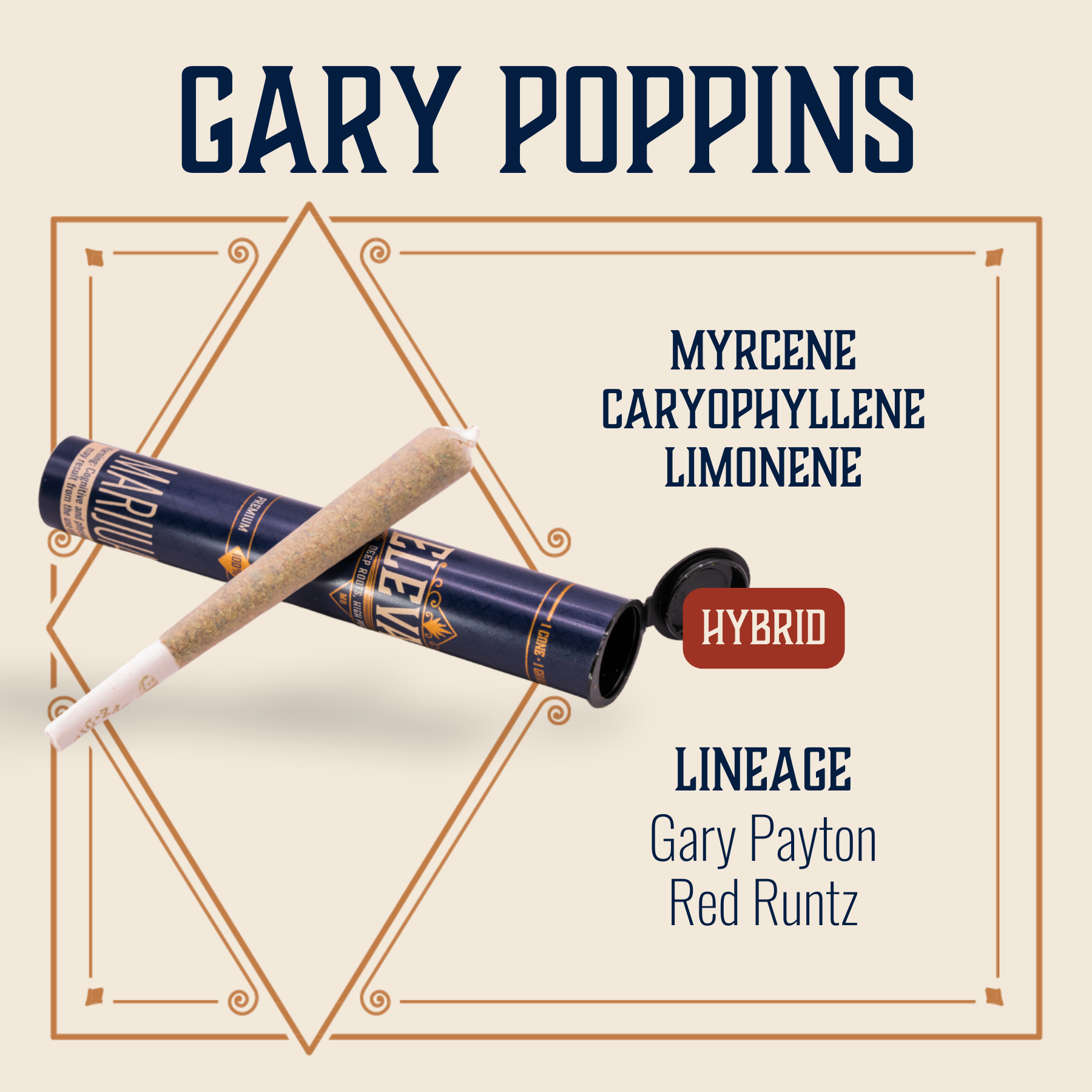 Photograph of product: Gary Poppins Pre-Roll | 1g