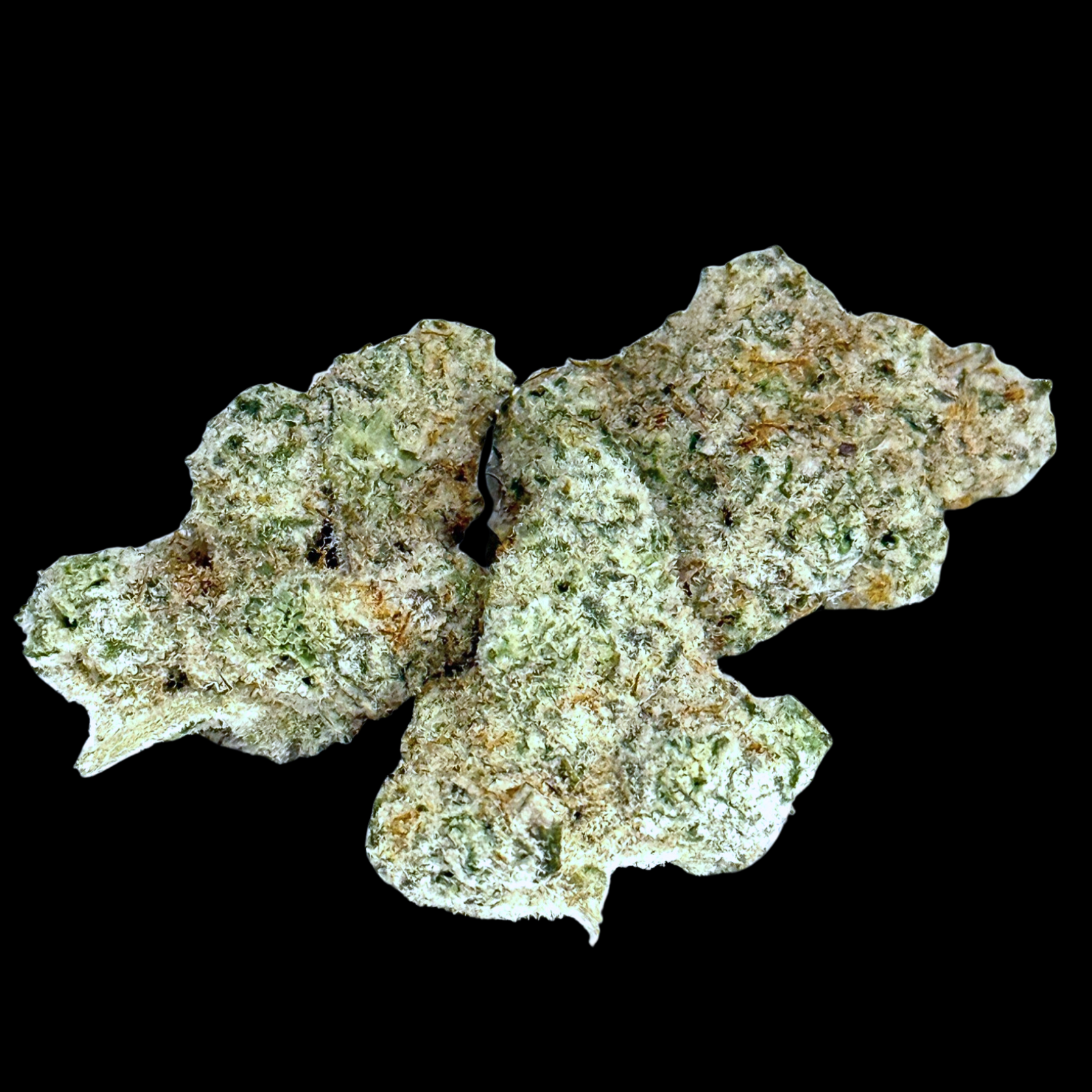 Photograph of product: Cap Junky - 28g