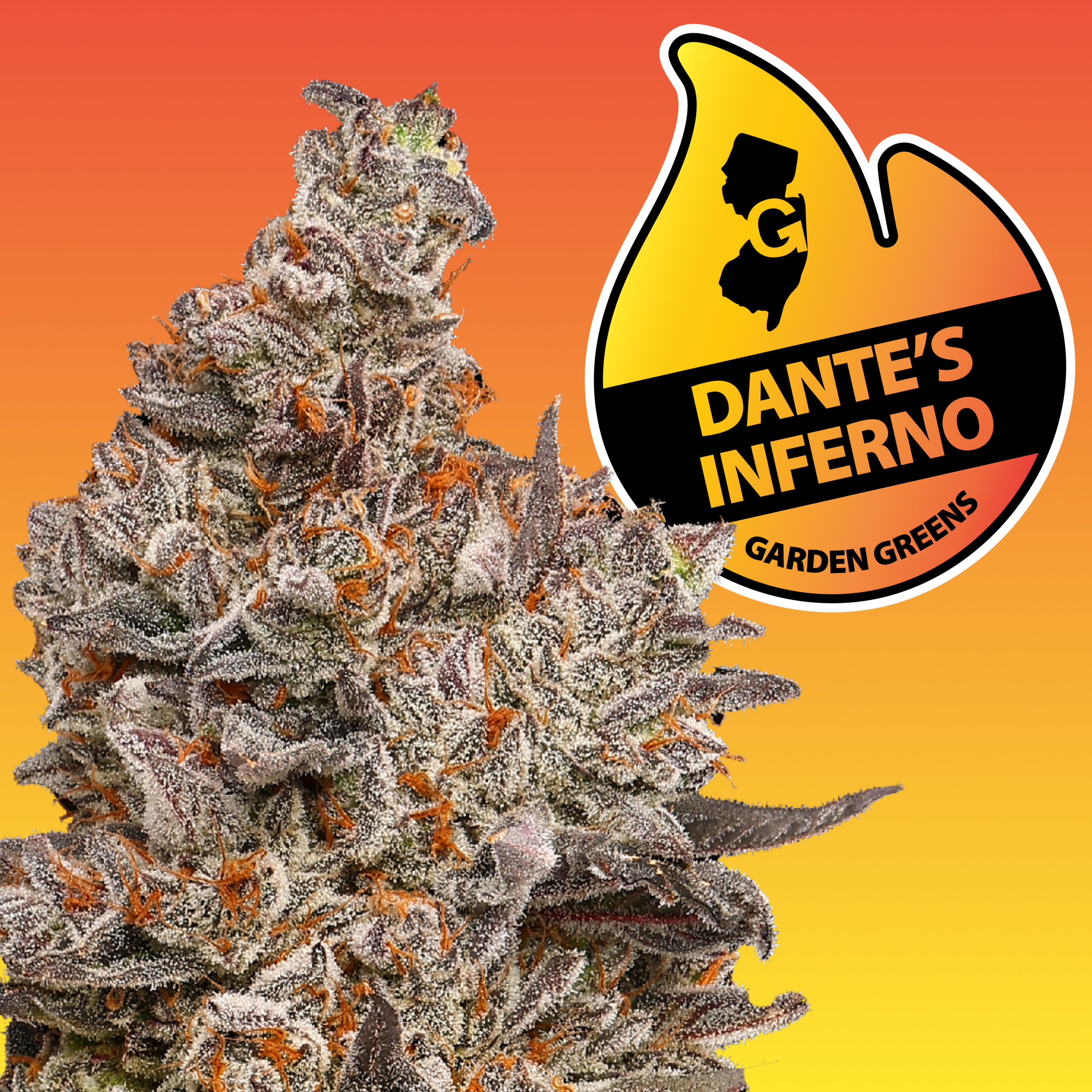 Photograph of product: Garden Green x TOKESLY | Dante's Inferno | 3.5g (Oui'd)