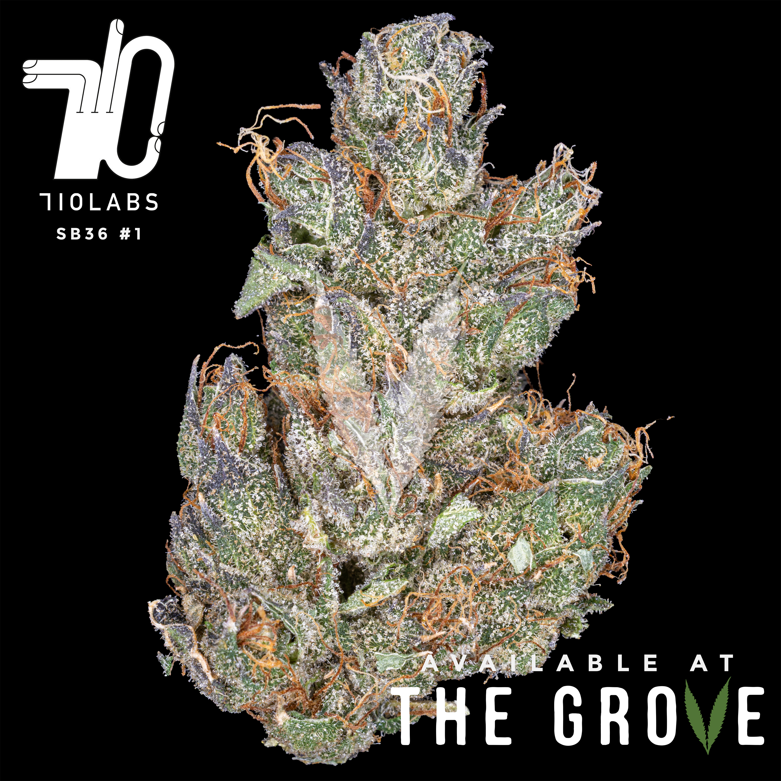 Photograph of product: 710 Labs | SB 36 #1 1/2oz Flower - 14g