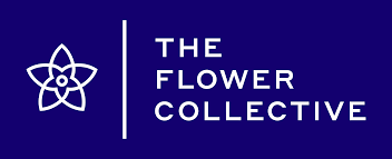 Photograph of product: REC - The Flower Collective - Peach Pit / First Press Live Rosin AIO