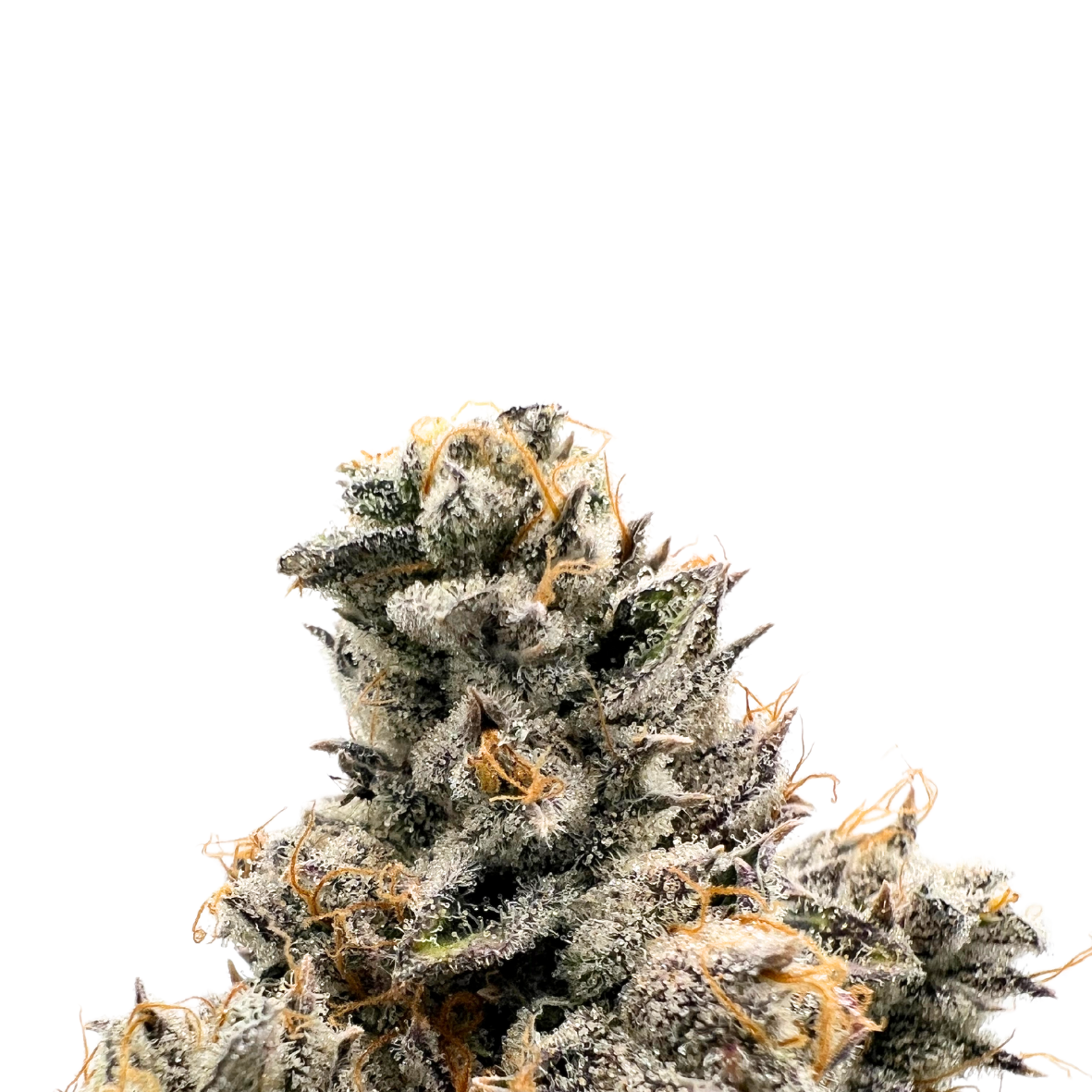 Photograph of product: Baked Chicken Premium Jar | Smokey'z Candy X DLS - 7g