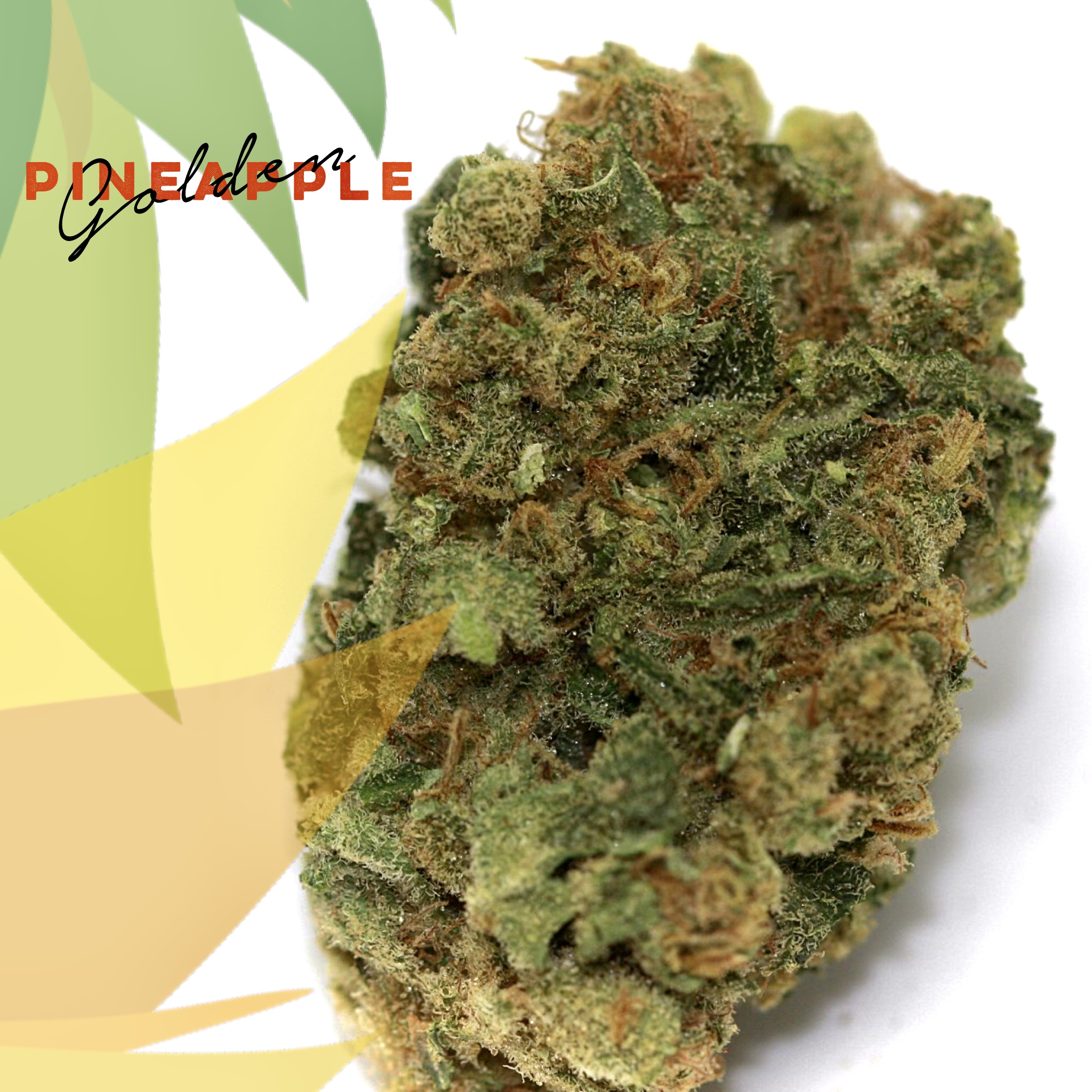 Photograph of product: Golden Pineapple-3.5g || SunMed