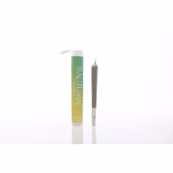 Photograph of product: Blueberry Pancakes - 1g Preroll | Autumn