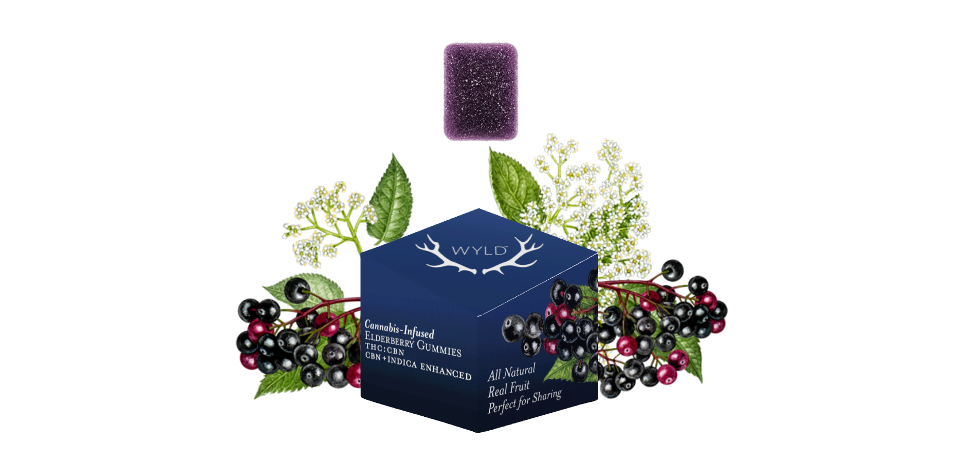Photograph of product: Wyld - Gummies 2:1 - Elderberry (I) (100mg TH-oui/50mg CBN)