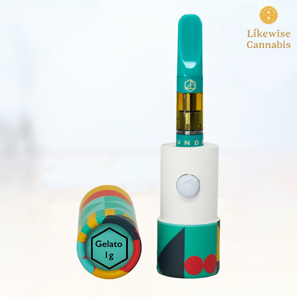 Photograph of product: GELATO 1G CURED RESIN CARTRIDGE