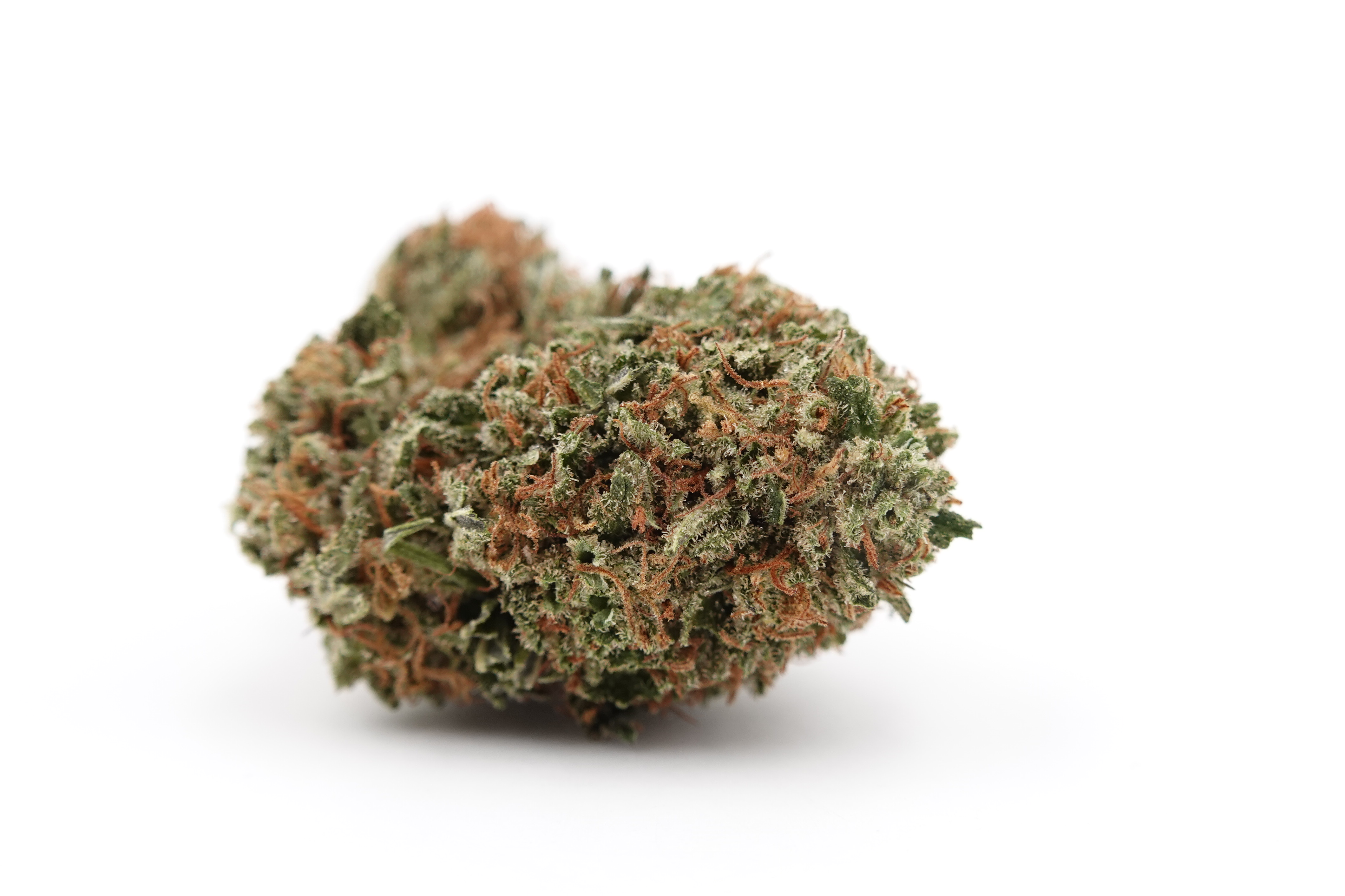 Photograph of product: Candy Blossom (2:1) - East Fork Cultivars (C) - 2g