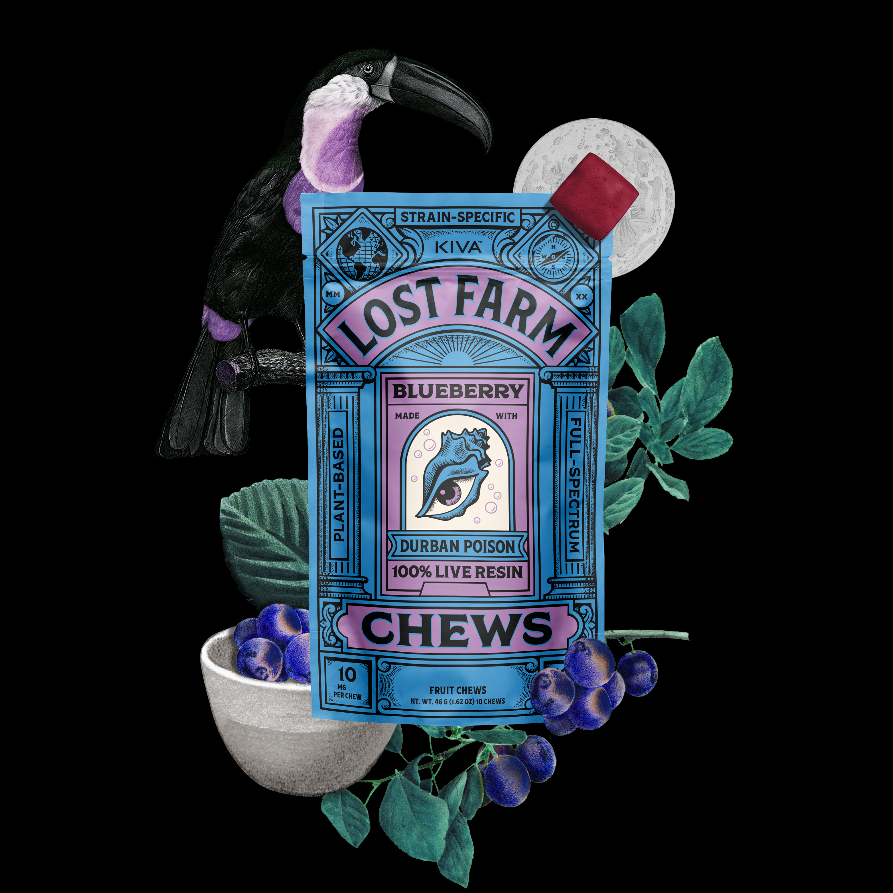 Photograph of product: Blueberry (Durban Poison) | 10mg | 10pk Live Resin Chews | Lost Farm
