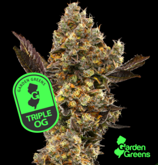 Photograph of product: Garden Greens | Triple OG 3.5g