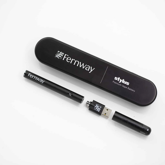 Photograph of product: Fernway | STYLUS | Black | Battery