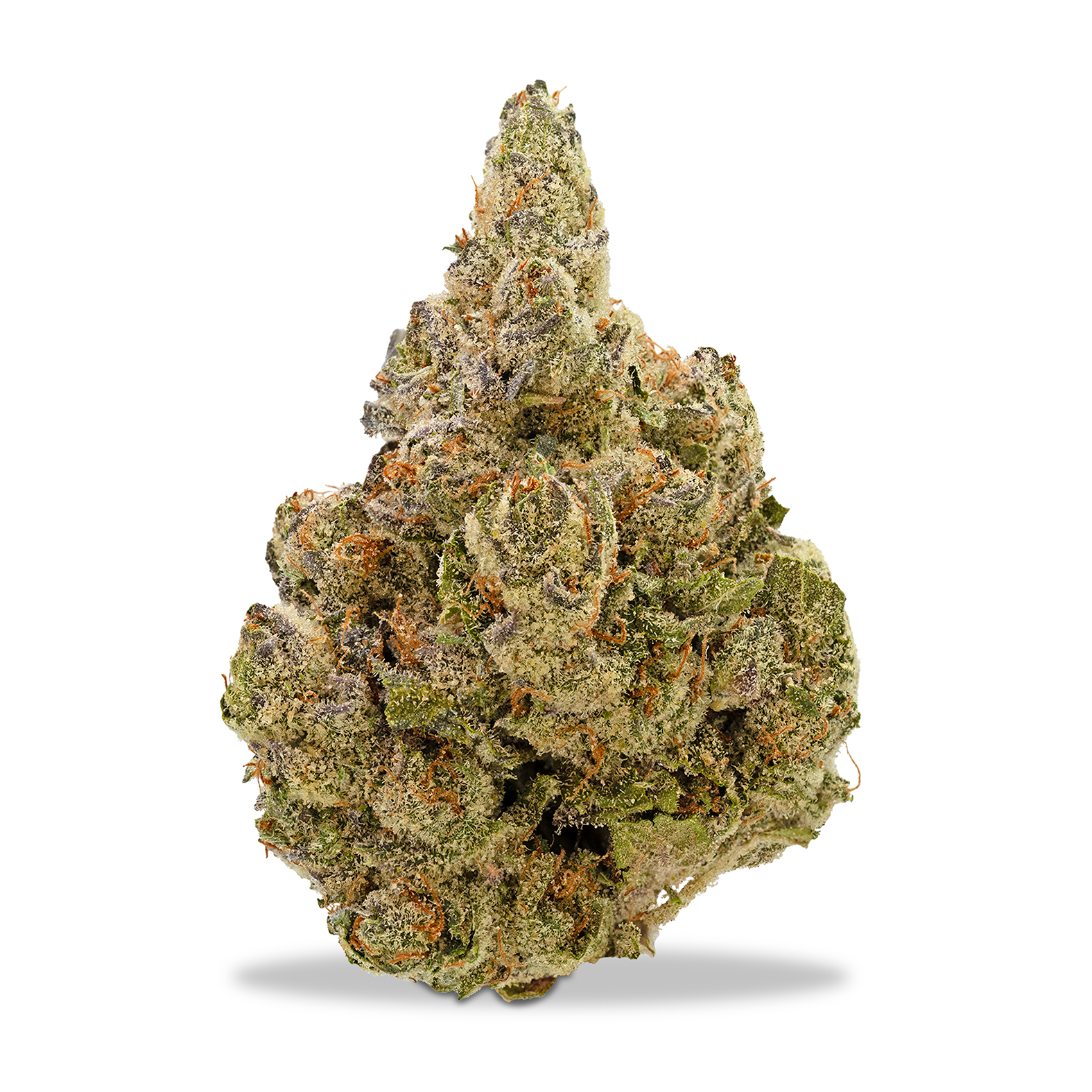 Photograph of product: Kaprikorn - Dante's Cookie Jar - 1g
