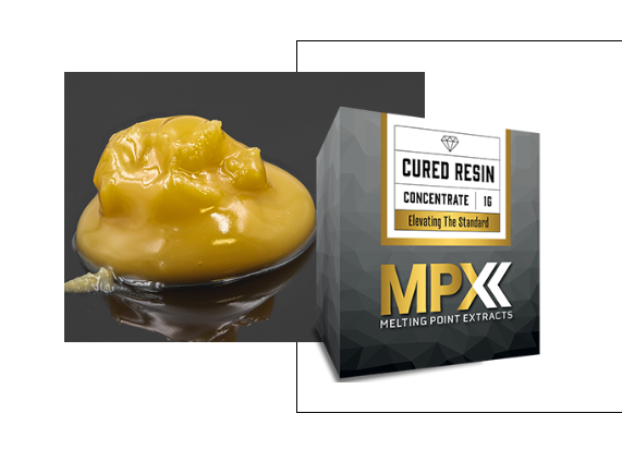 Photograph of product: Gumi #6 Cured Resin Sugar 1g/1000mg