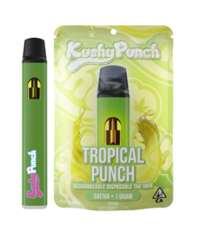 Photograph of product: Kushy Punch Tropical Punch Oui'd AIO 1g