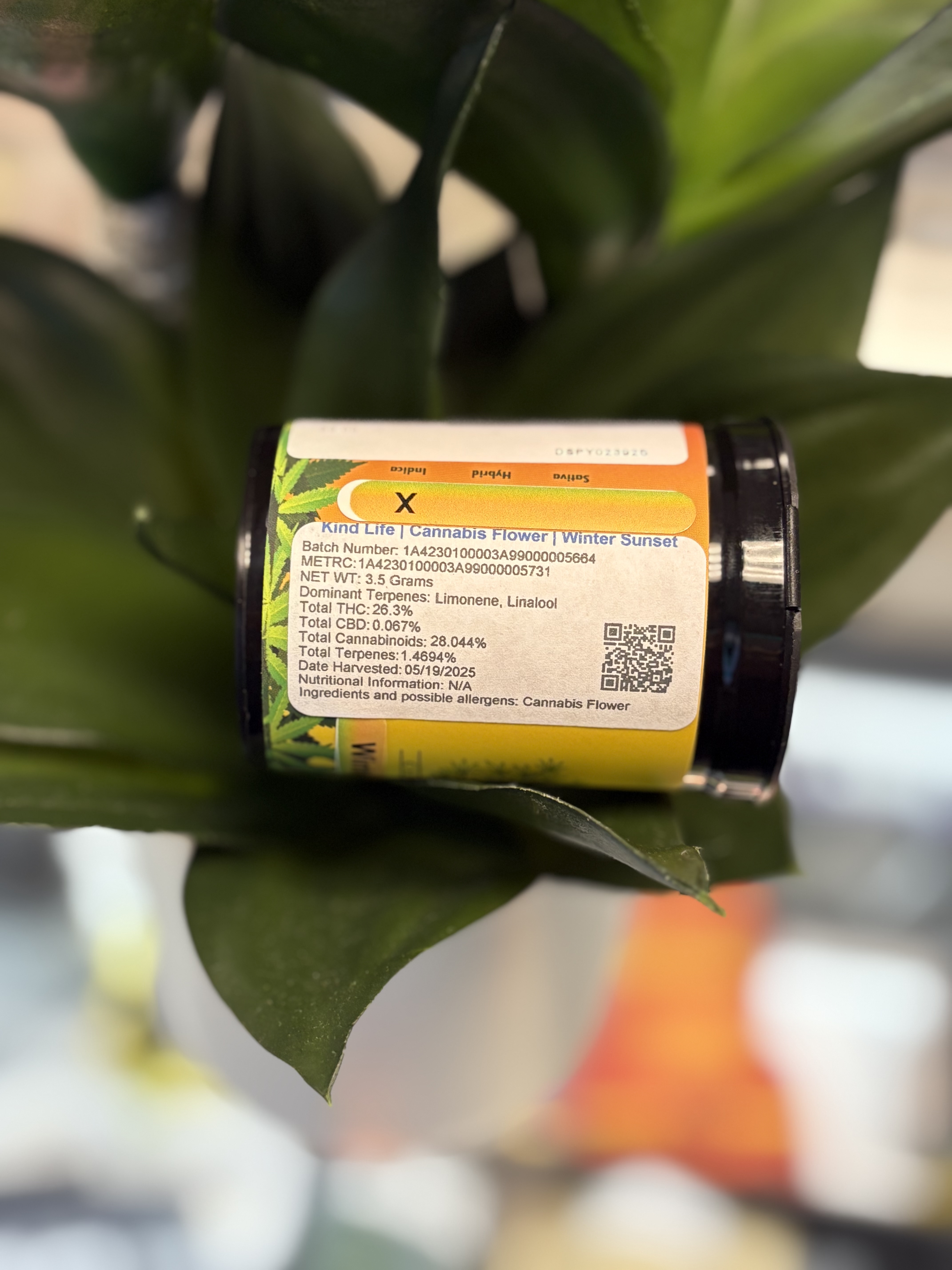 Photograph of product: Kind Life | 3.5g | Winter Sunset