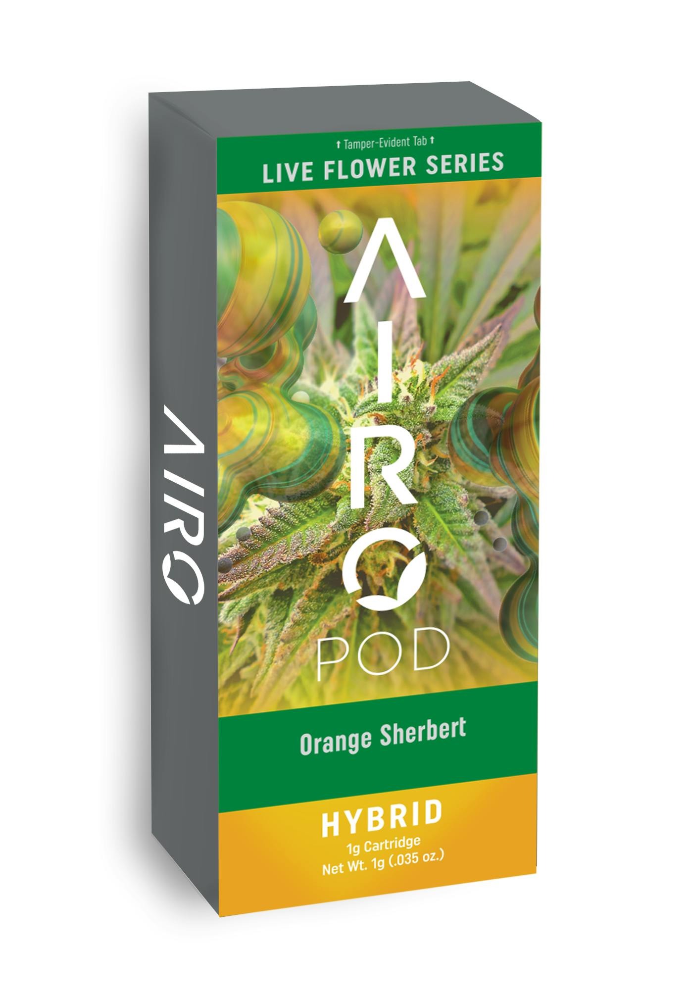 Photograph of product: Airo Pod - Orange Sherbert Live Flower (H)