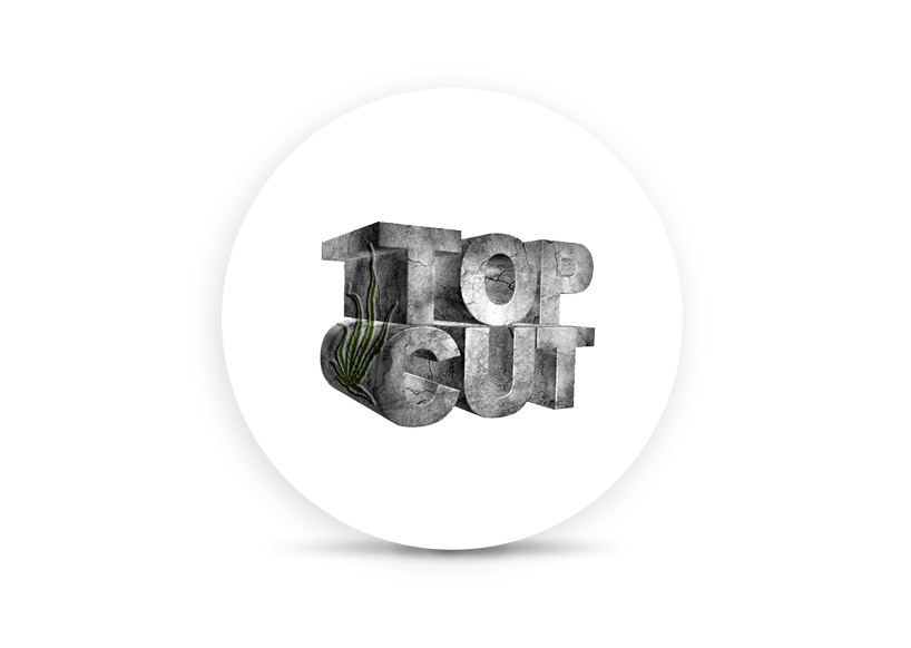 Logo for img-fluid: Top Cut Farms