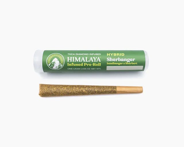 Photograph of Product: Sherbanger Infused Preroll 1g - 