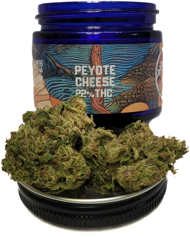 Photograph of product: Peyote Cheese Jar | Treetop Alliance - 4g