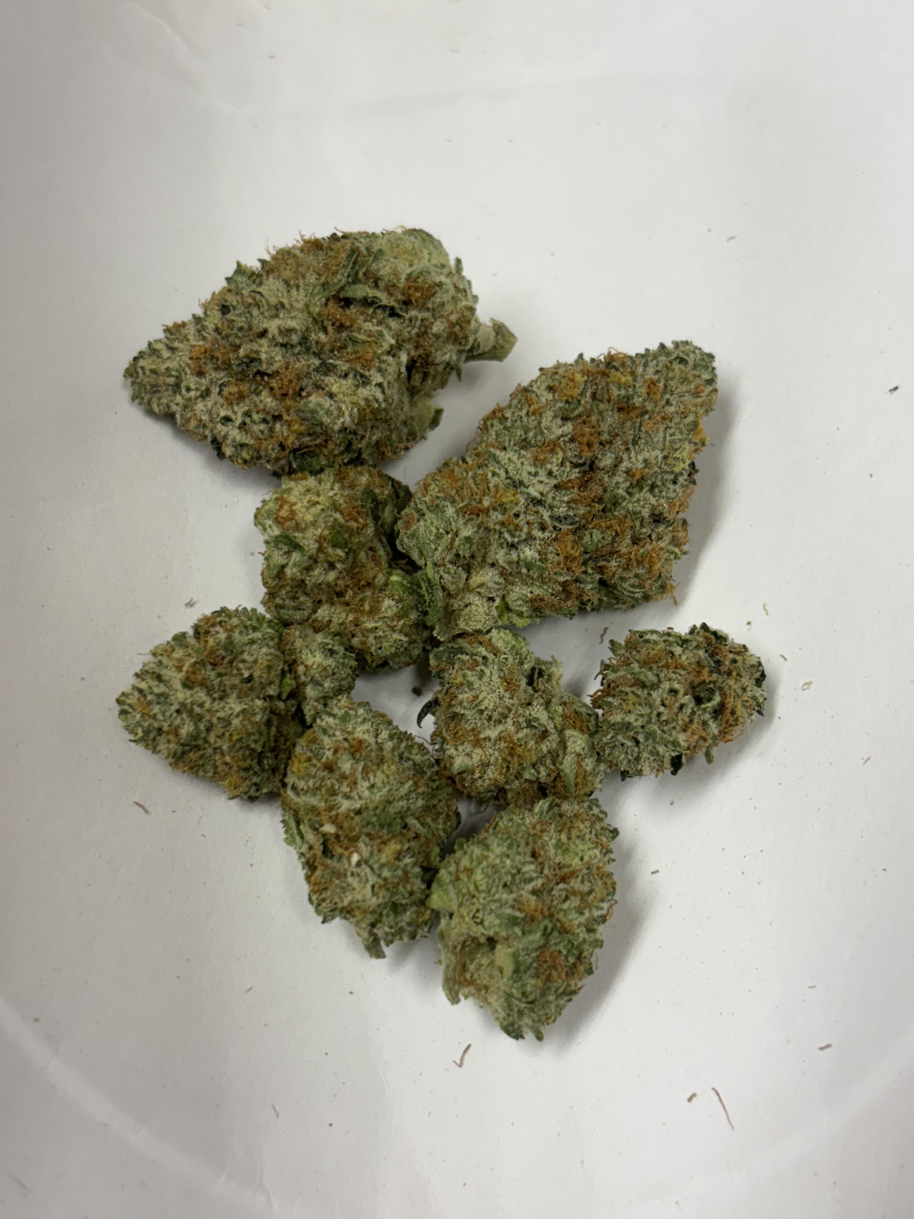 Photograph of product: MJ Verdant Tropical Rabbit - 28g