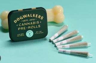 Photograph of product: Brownie Scout | 0.35g Pre-Rolls | 5pk