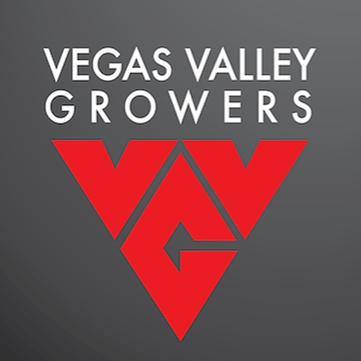 Photograph of product: Vegas Valley Growers | Frosted Sapphire - 3.5g