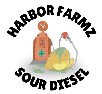 Photograph of product: Harbor Farmz   Lightly Seeded Sour Diesel - 1g