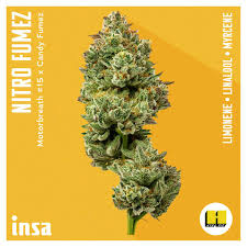 Photograph of product: INSA | NITRO FUMEZ (I) - 3.5g