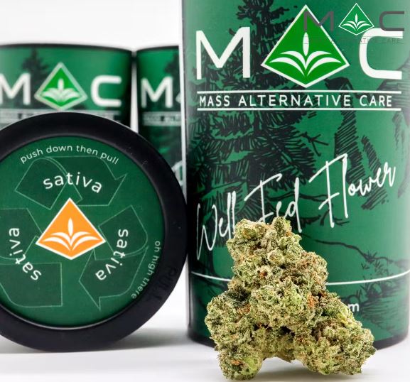 Photograph of product: Rocket Punch - 3.5g