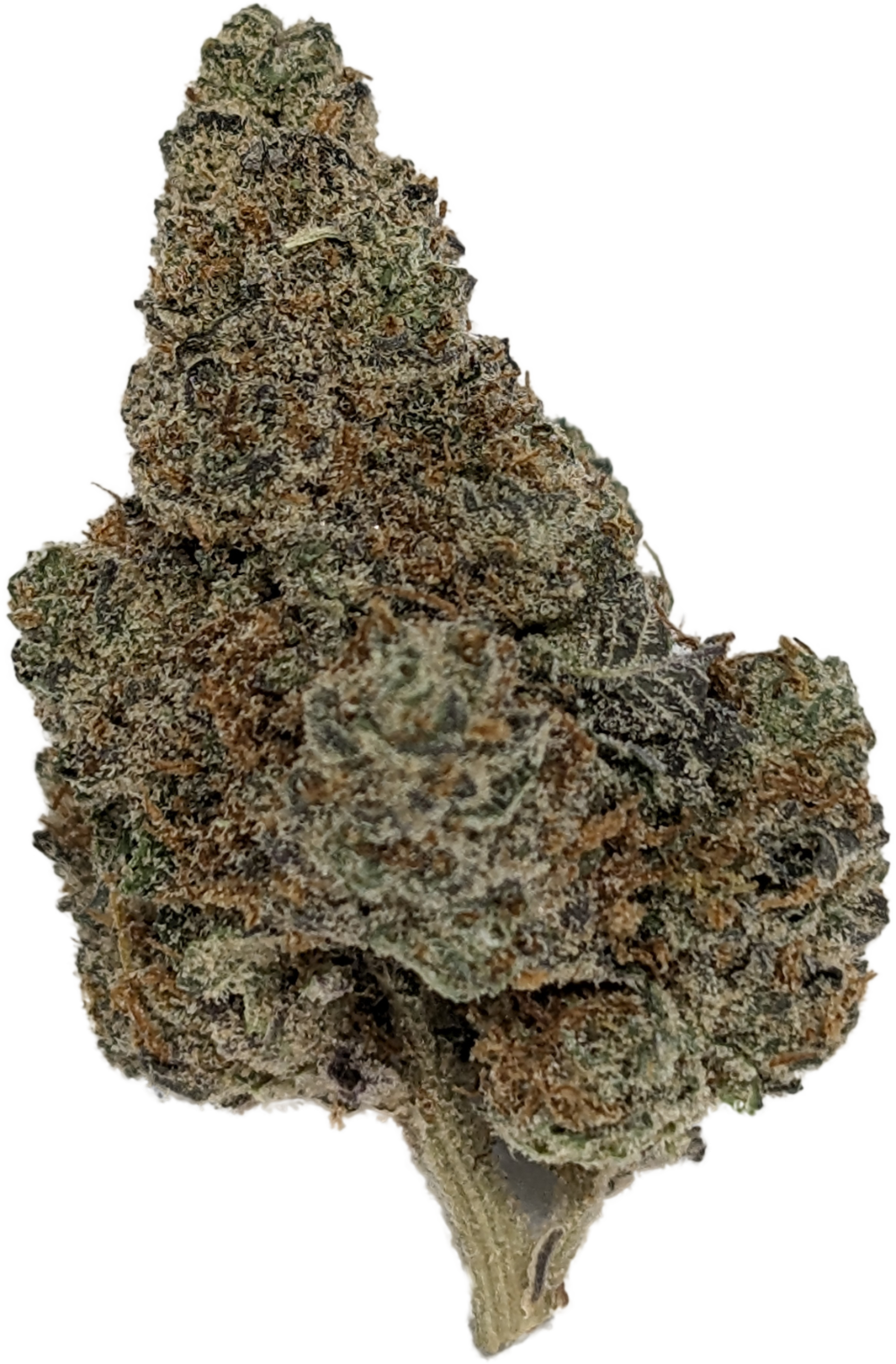 Photograph of product: Full Send - 2g