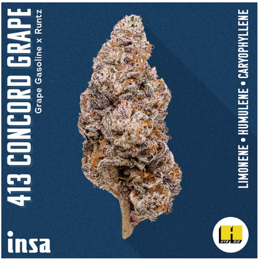 Photograph of product: 413 Concord Grape - 1g Pre-Roll - INSA