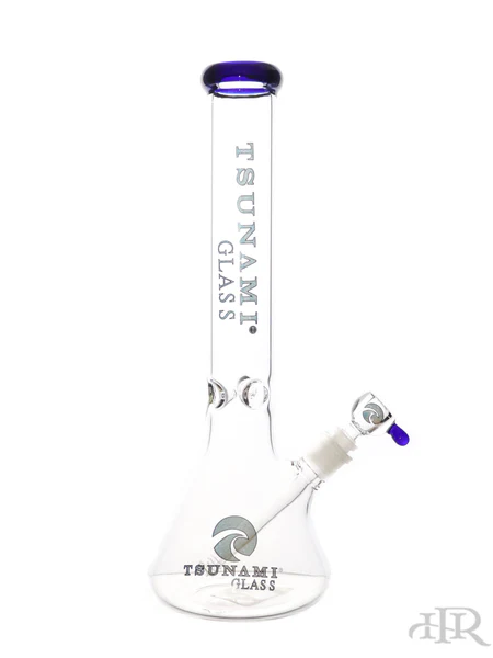 Photograph of Product: TSUNAMI - GLASS - BEAKER - 15"