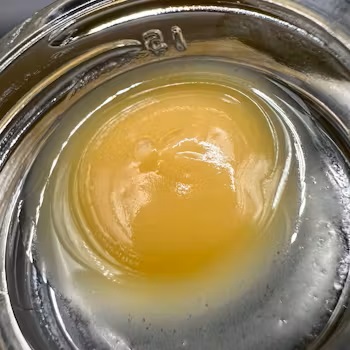 Photograph of product: Kosher Kush | Live Budder | Echo Electuary