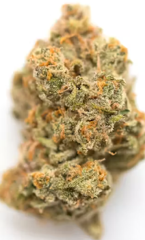Photograph of Product: Madhaus - Hash Burger - 28g