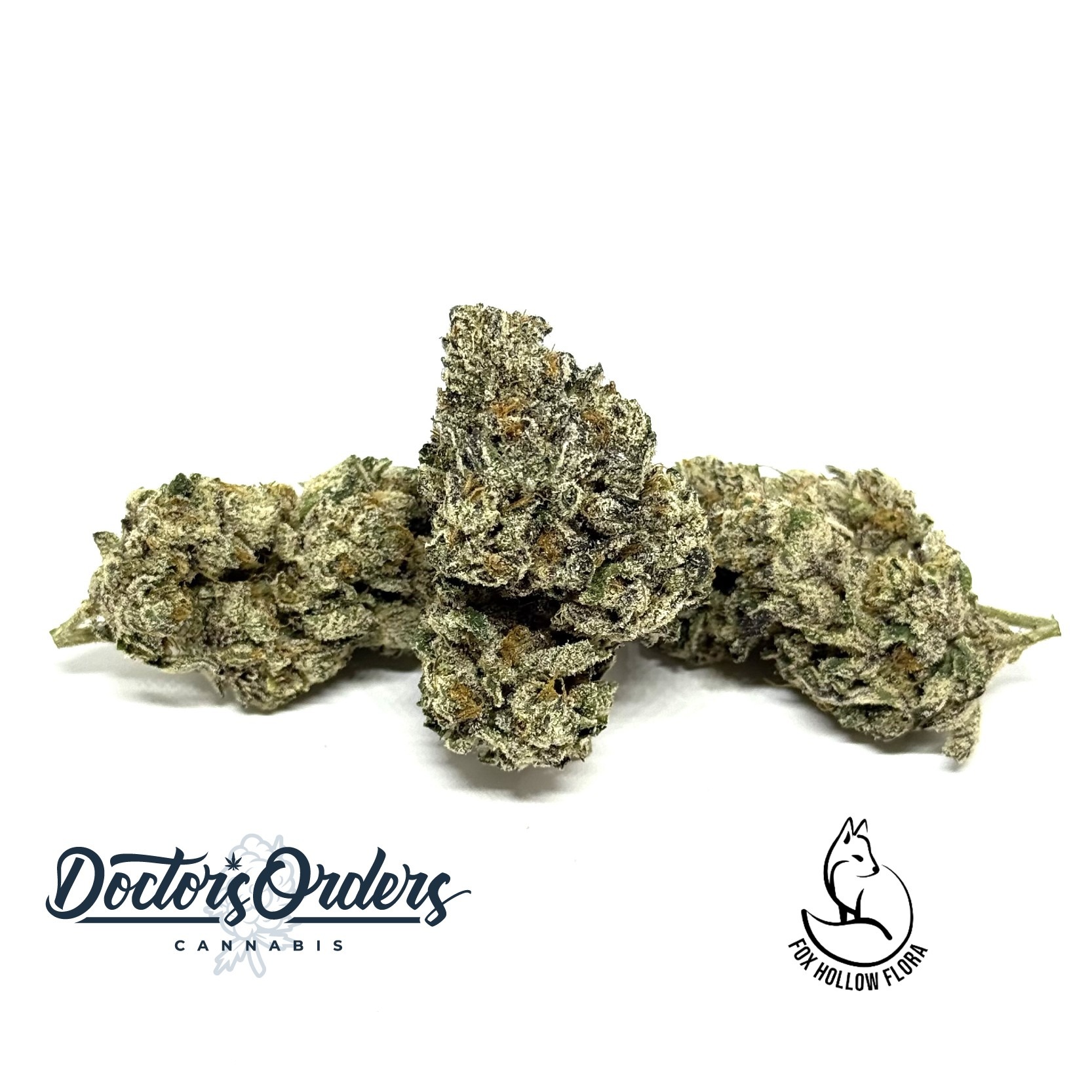 Photograph of product: Yakety Yak (Platinum)