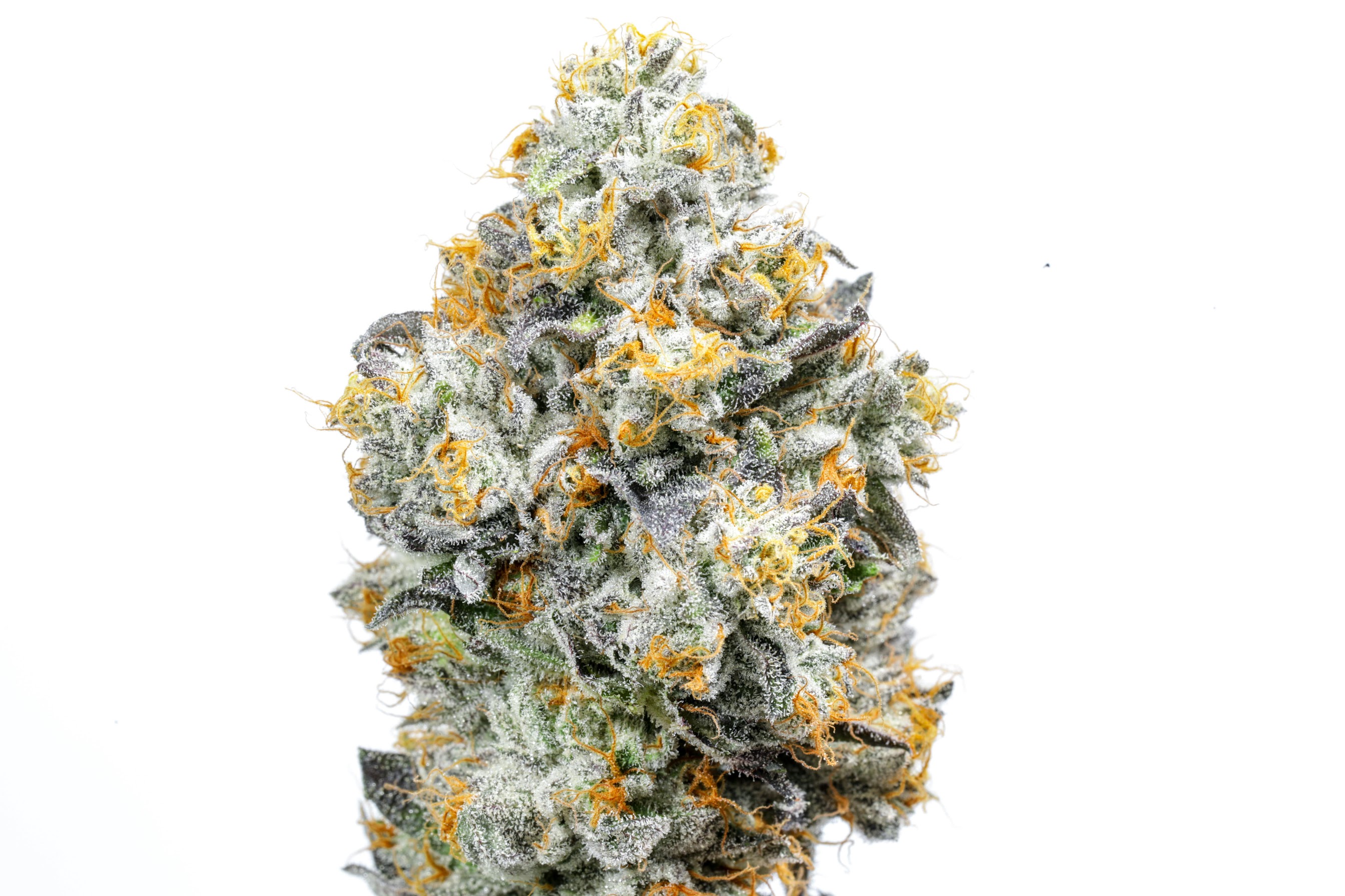 Photograph of product: ALIEN LABS BAKLAVA INDOOR FLOWER 3.5G