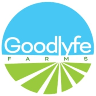 Photograph of product: Pre-Roll - Goodlyfe Infused - Blueberry Banana Pancake