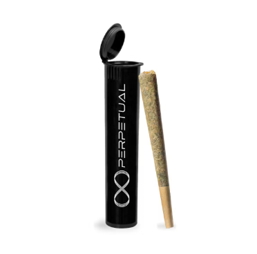 Photograph of product: Perpetual | Scented Marker #10 | Pre-Roll