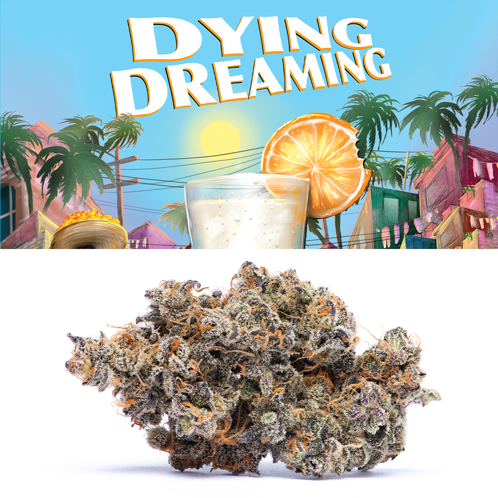 Photograph of product: Cookies - Big Dipper - 7g