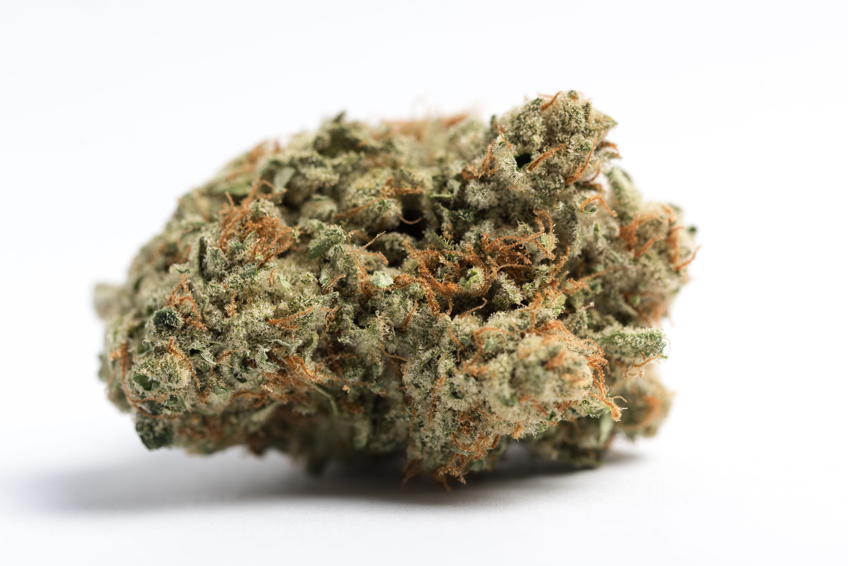 Photograph of product: Bio-Jesus - 14g