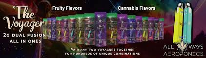 Photograph of product: All Ways Aeroponics Voyager AIO | Honey Apple Breeze