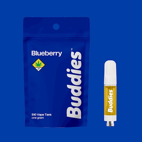 Photograph of product: Buddies Blueberry (H) FLV Vape 1g